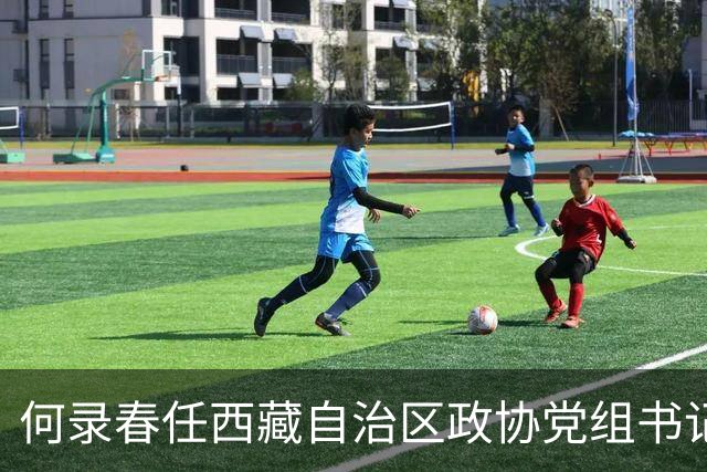 何录春任西藏自治区政协党组书记