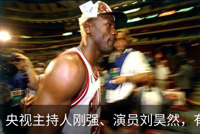 央视主持人刚强、演员刘昊然，有新身份