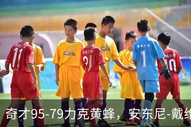 奇才95-79力克黄蜂，安东尼-戴维斯25分13板，特雷-杨21+7+9