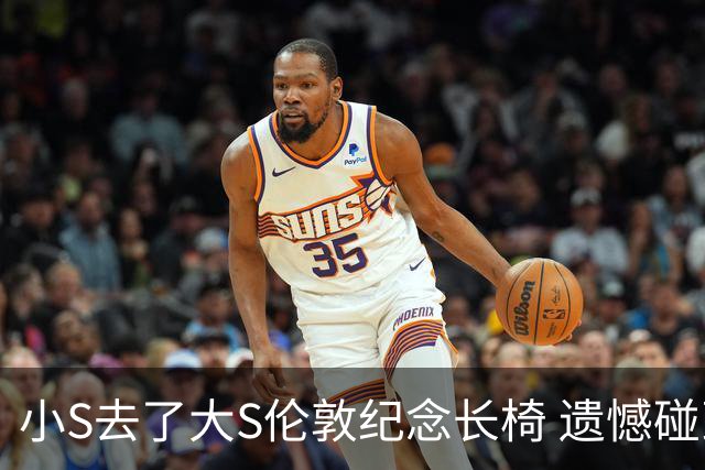 小S去了大S伦敦纪念长椅 遗憾碰到公园修整而错过