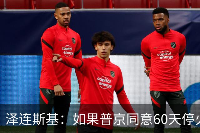 泽连斯基：如果普京同意60天停火，乌克兰将举行选举