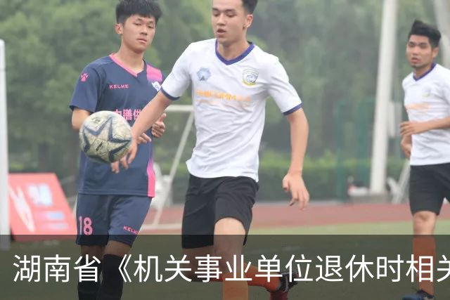 湖南省《机关事业单位退休时相关工资和退休费待遇备案表》精解