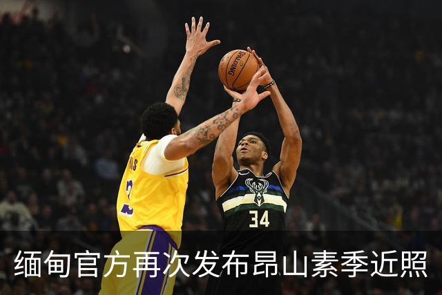 缅甸官方再次发布昂山素季近照