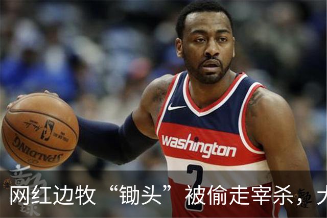 网红边牧“锄头”被偷走宰杀，犬主最新回应：双方已和解，对方赔偿30万元，将全部捐给宠物救助机构