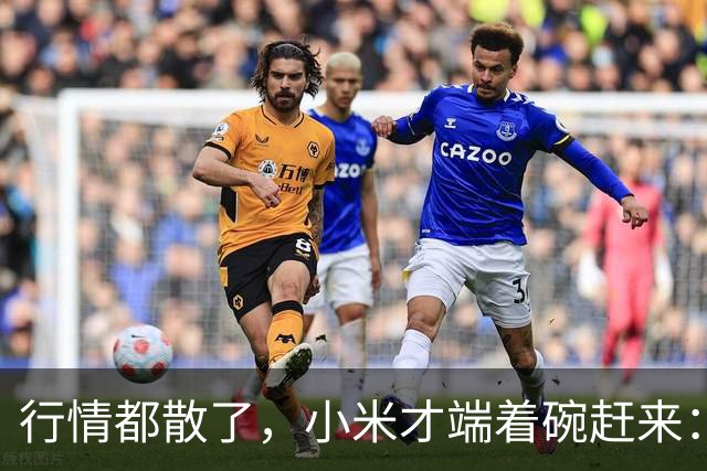 行情都散了，小米才端着碗赶来：单靠复制这条路能走多远？