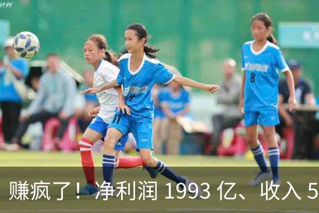 赚疯了！净利润 1993 亿、收入 5241 亿