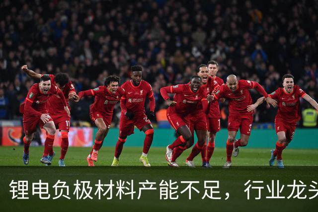 锂电负极材料产能不足，行业龙头杉杉股份拟定增募资不超40亿元加码产能等，海螺集团将全额认购