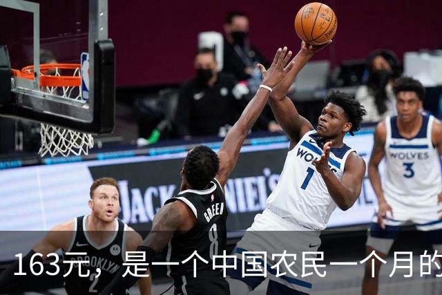 163元，是一个中国农民一个月的全部尊严和保障吗？